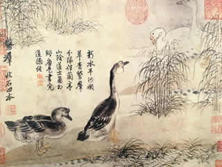 国画分类,国画如何分类,分享国画种类常识