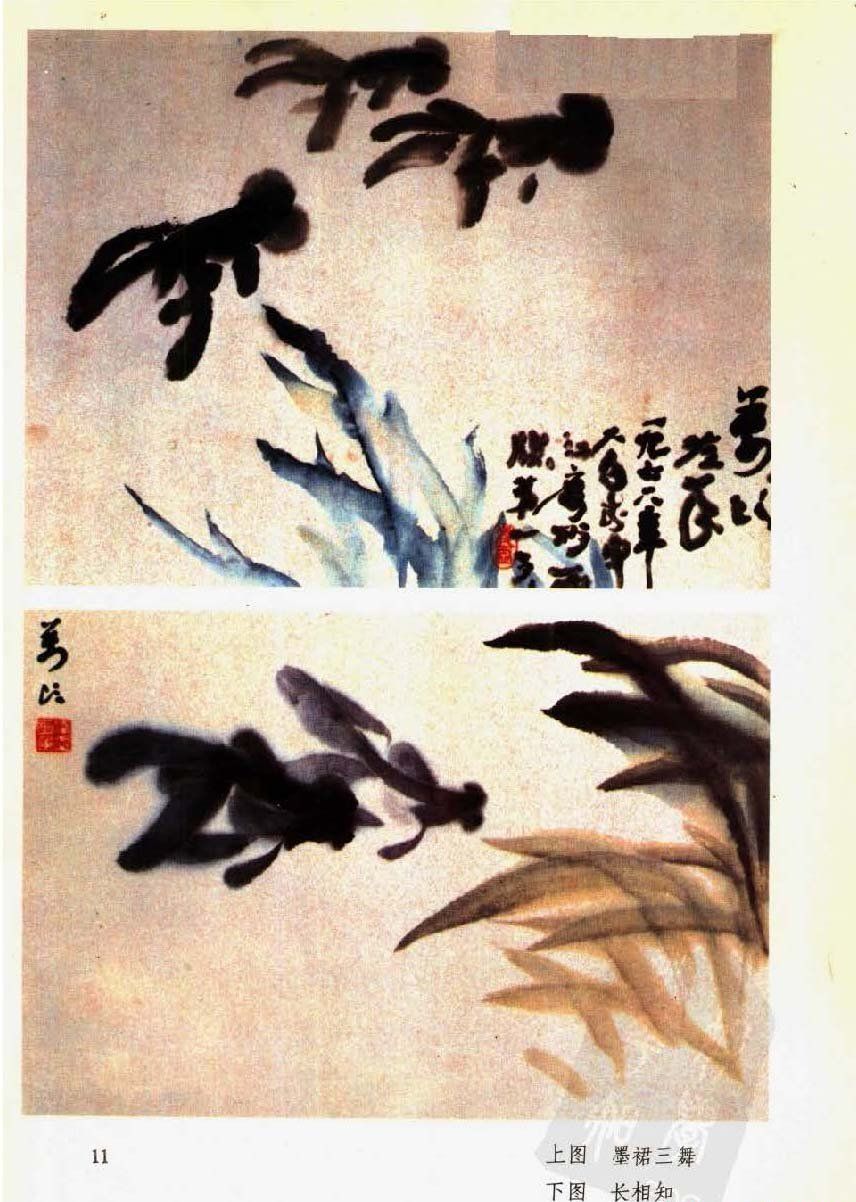 国画《金鱼的几种写意画法》技法详解