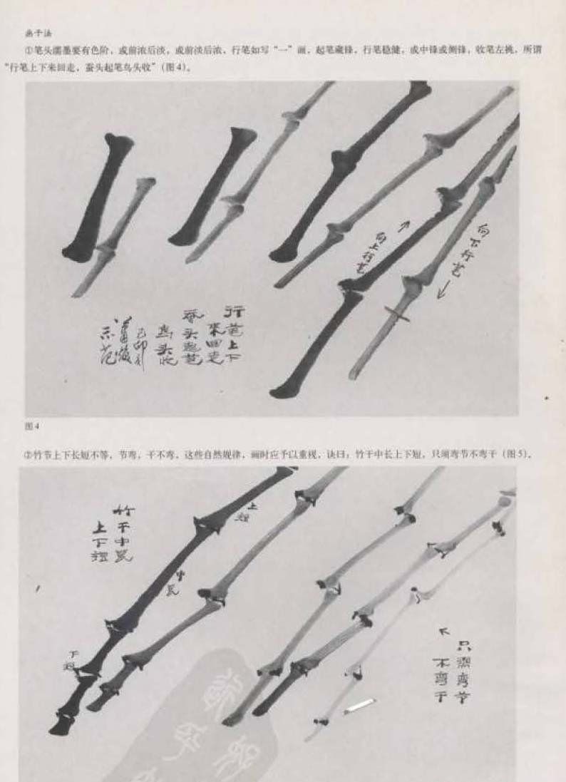 国画竹技法与步骤介绍