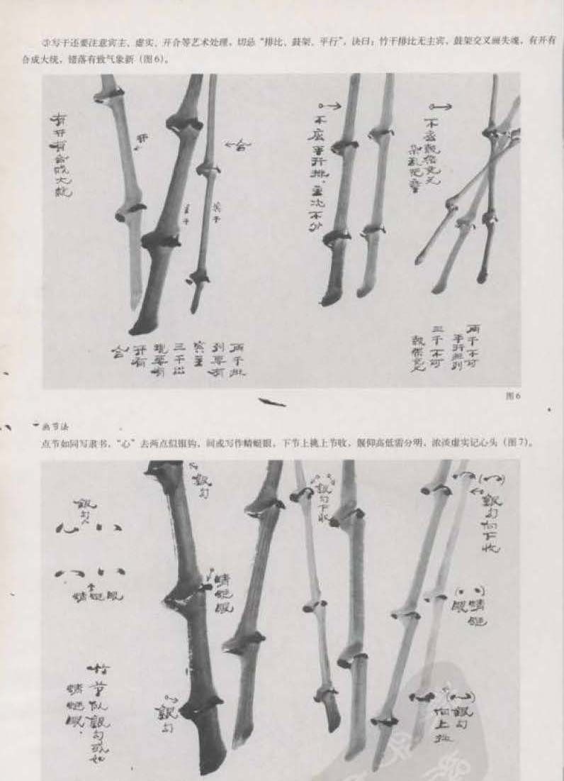 国画竹技法与步骤介绍