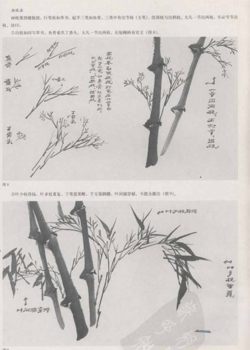 国画竹技法与步骤介绍