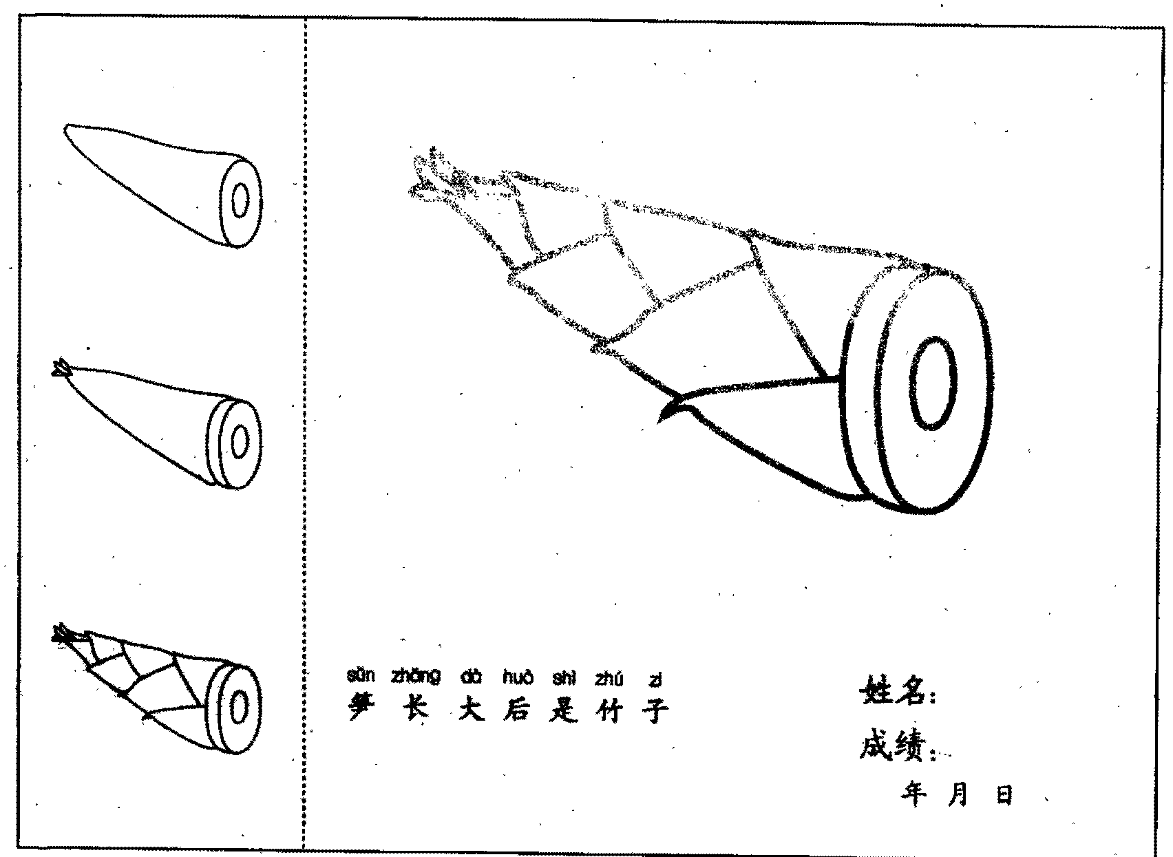 竹笋简笔画法分步骤示范