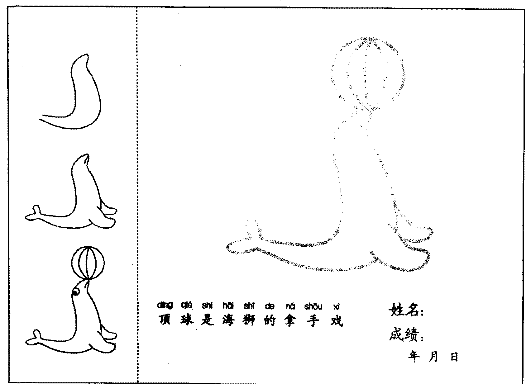 海狮简笔画法分步骤示范