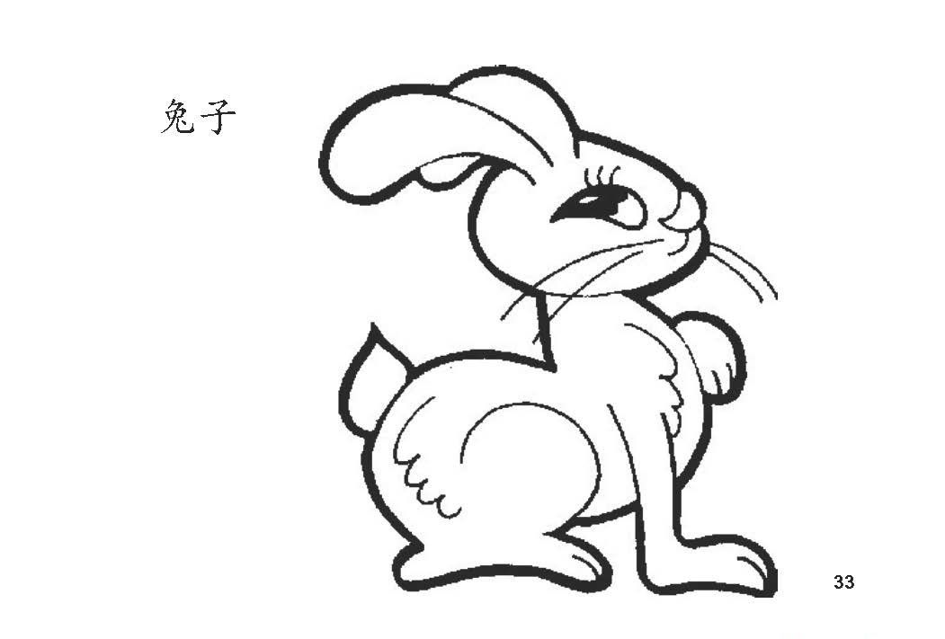 　　兔（Rabbit）