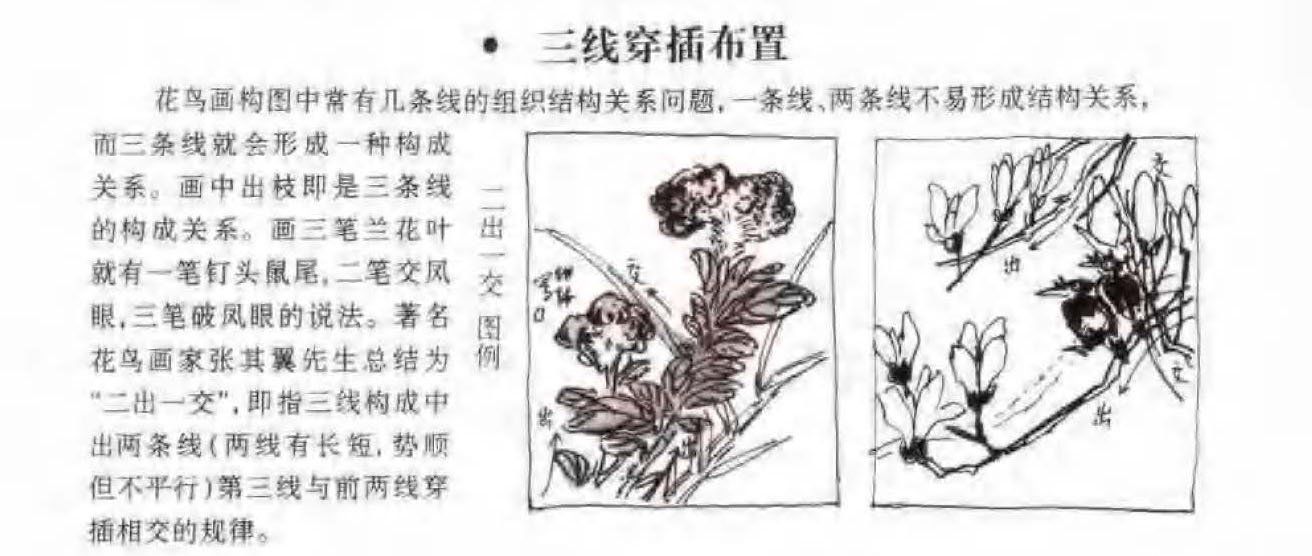 花鸟画构图法《三字母表穿插布置》