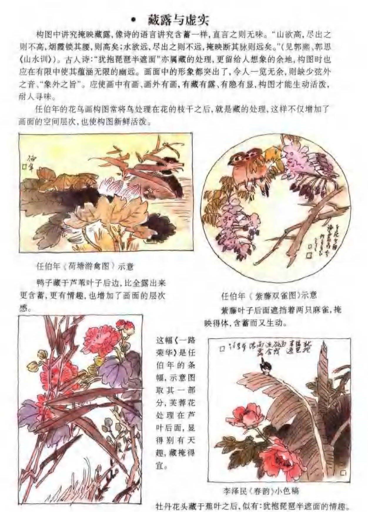 花鸟画构图法《藏露与虚实》