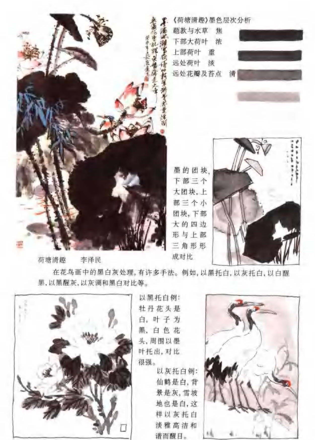 花鸟画构图法《黑白灰处理》