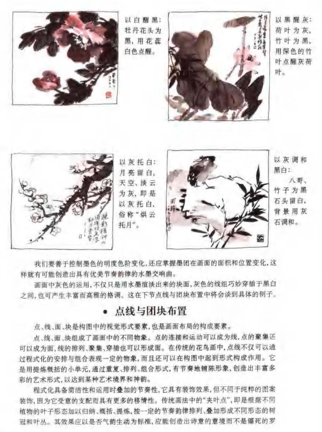 花鸟画构图法《黑白灰处理》