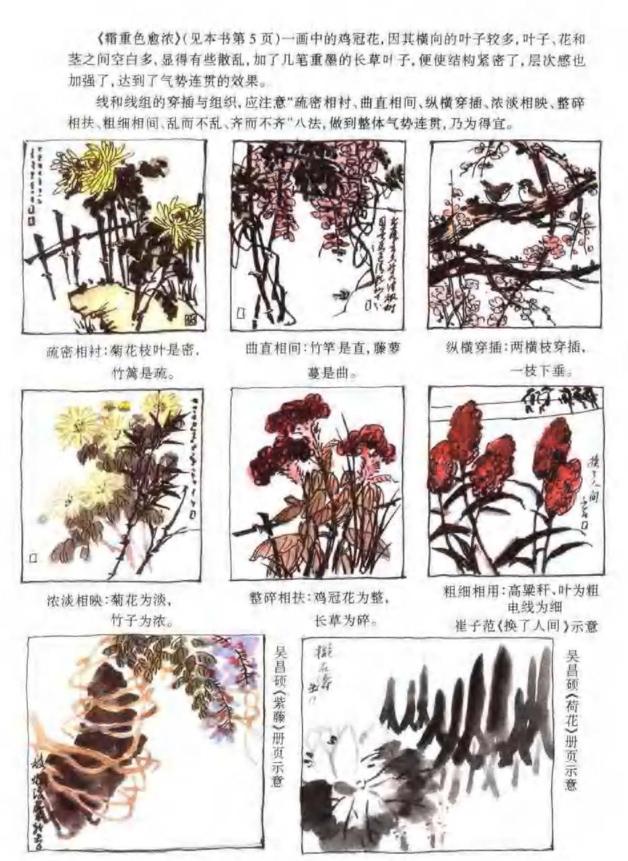 花鸟画构图法《点线与团块布置》