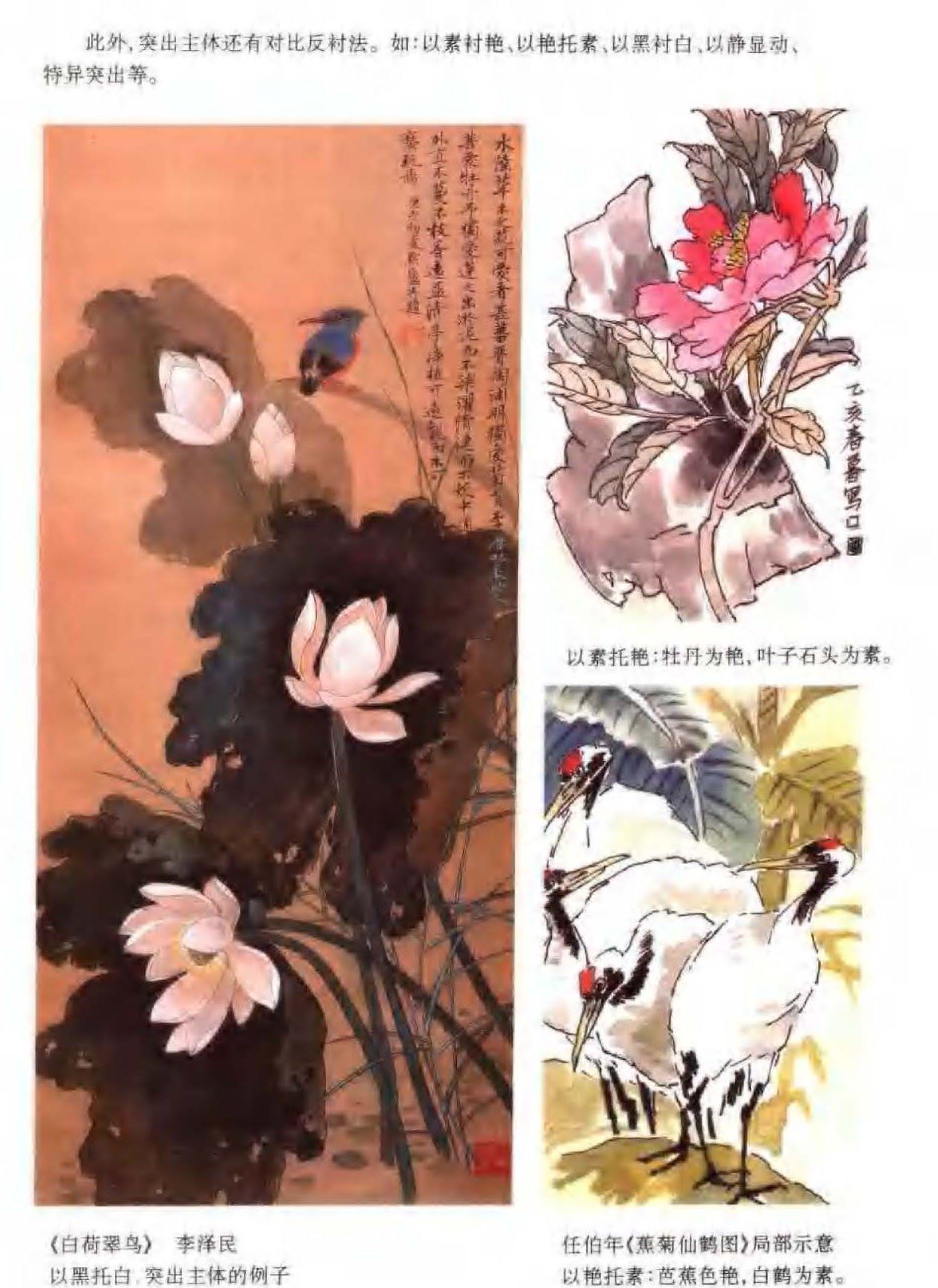 花鸟画构图法《兴趣中心与井字布局》