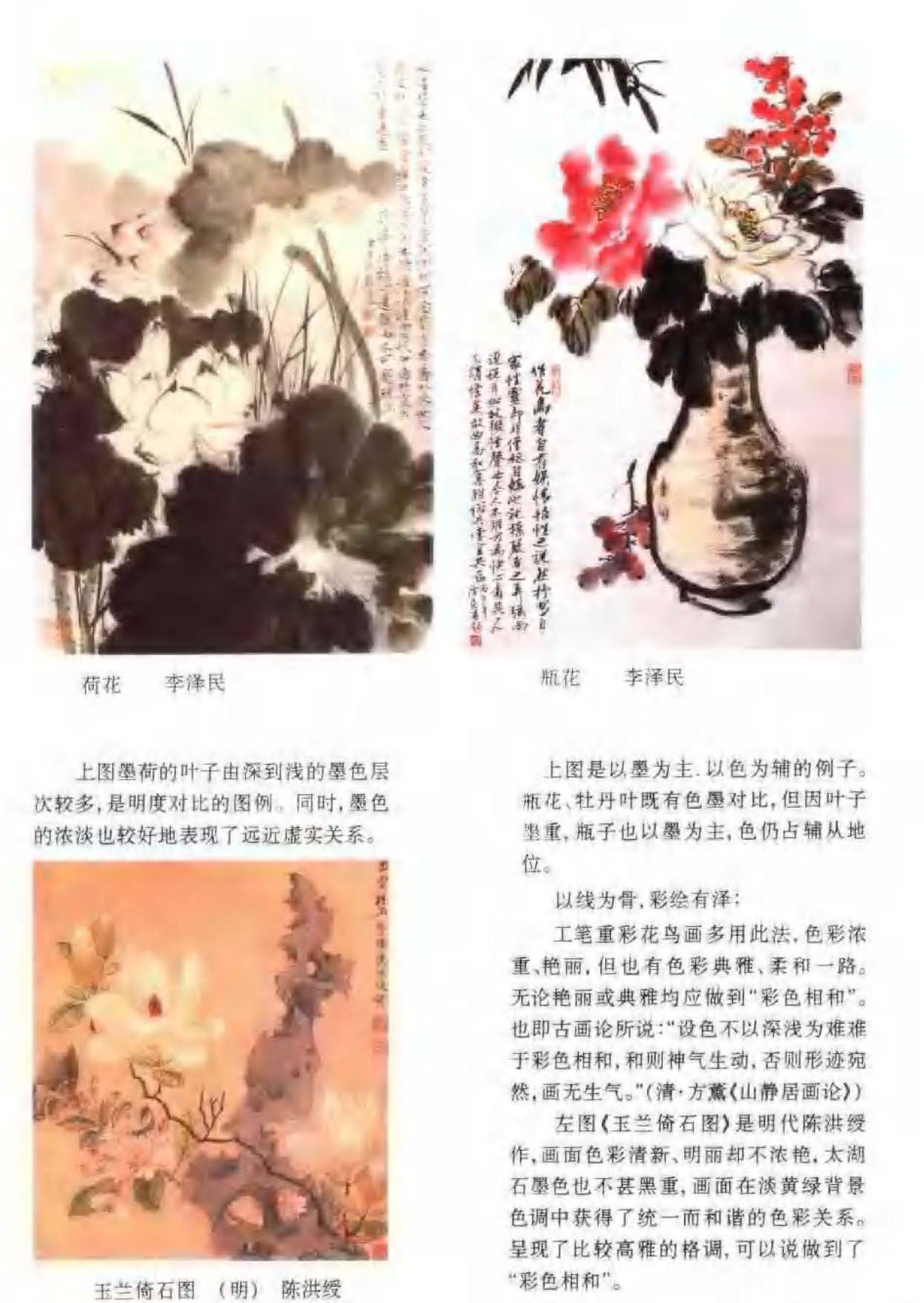 花鸟画构图法《色彩极与构图》