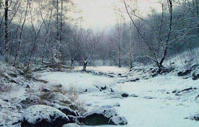 陶世虎写实水彩自然风景作品赏析