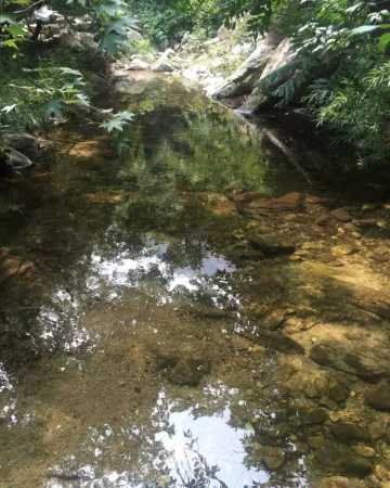 黄有维山水风景水彩写生绘画步骤教程