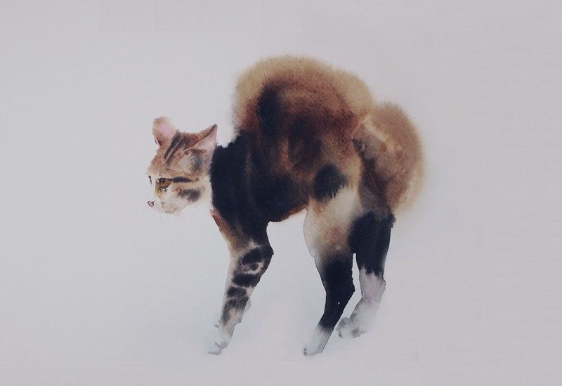 村上豊的水彩画猫作品