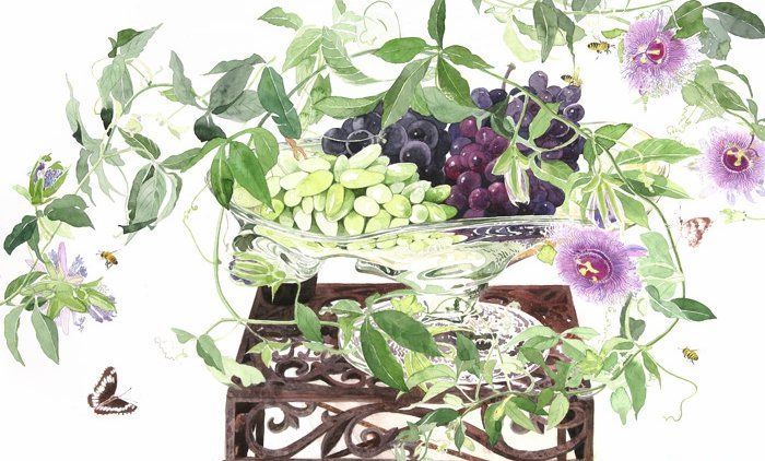 日本柘植彩子Ayako Tsuge的花卉静物水彩画作品图片欣赏