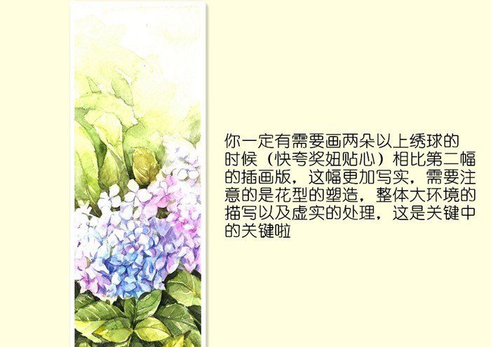 豆子桃水彩插画：我只会画画