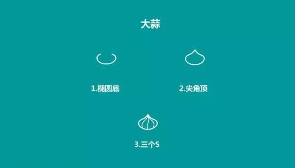 大蒜简笔画