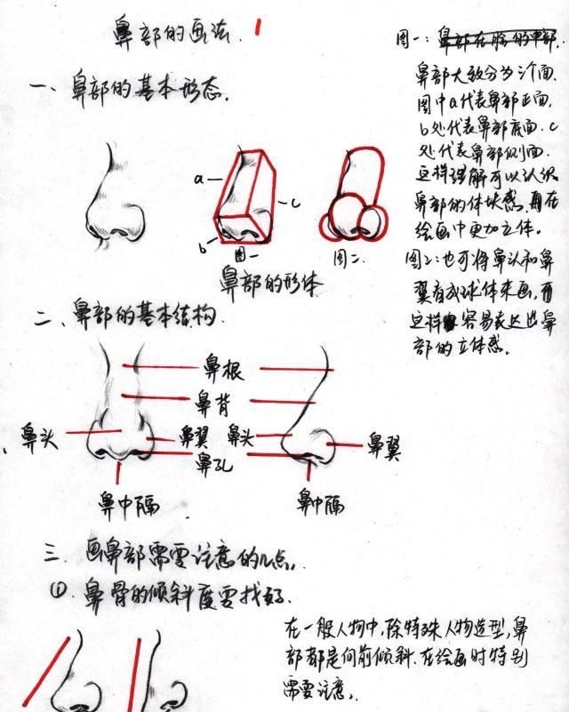 速写人物五官画法分步骤讲解，适合零基础美术学习