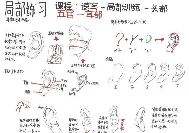 速写人物五官画法分步骤讲解，适合零基础美术学习