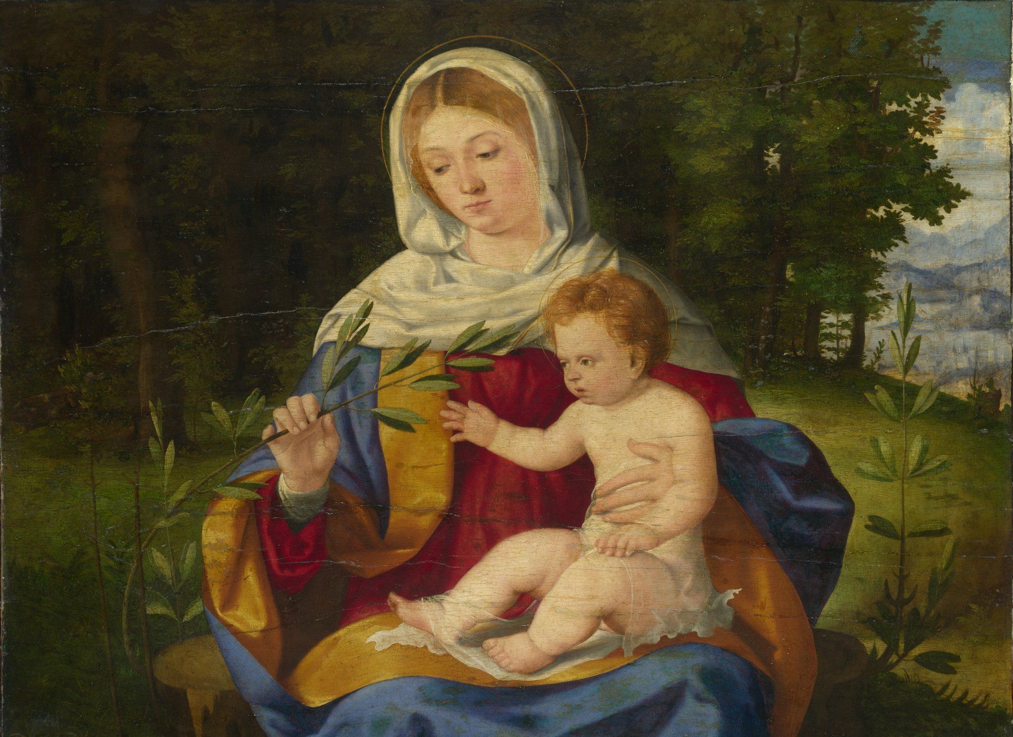 Andrea Previtali - The Virgin and Child with a Shoot of Olive