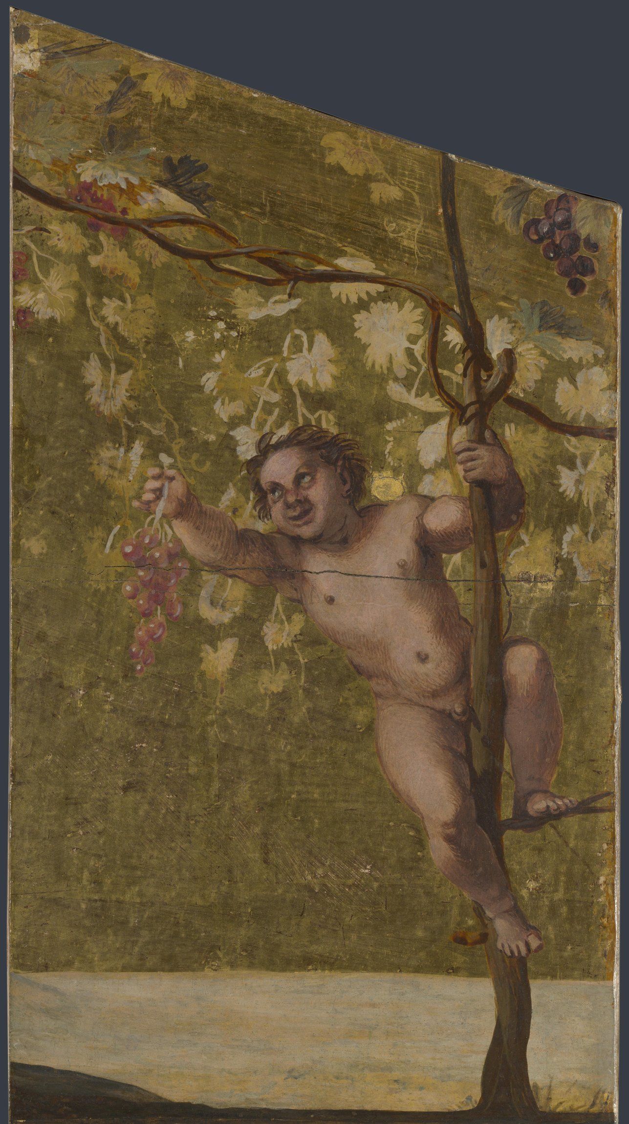 Annibale Carracci - Putto gathering Grapes